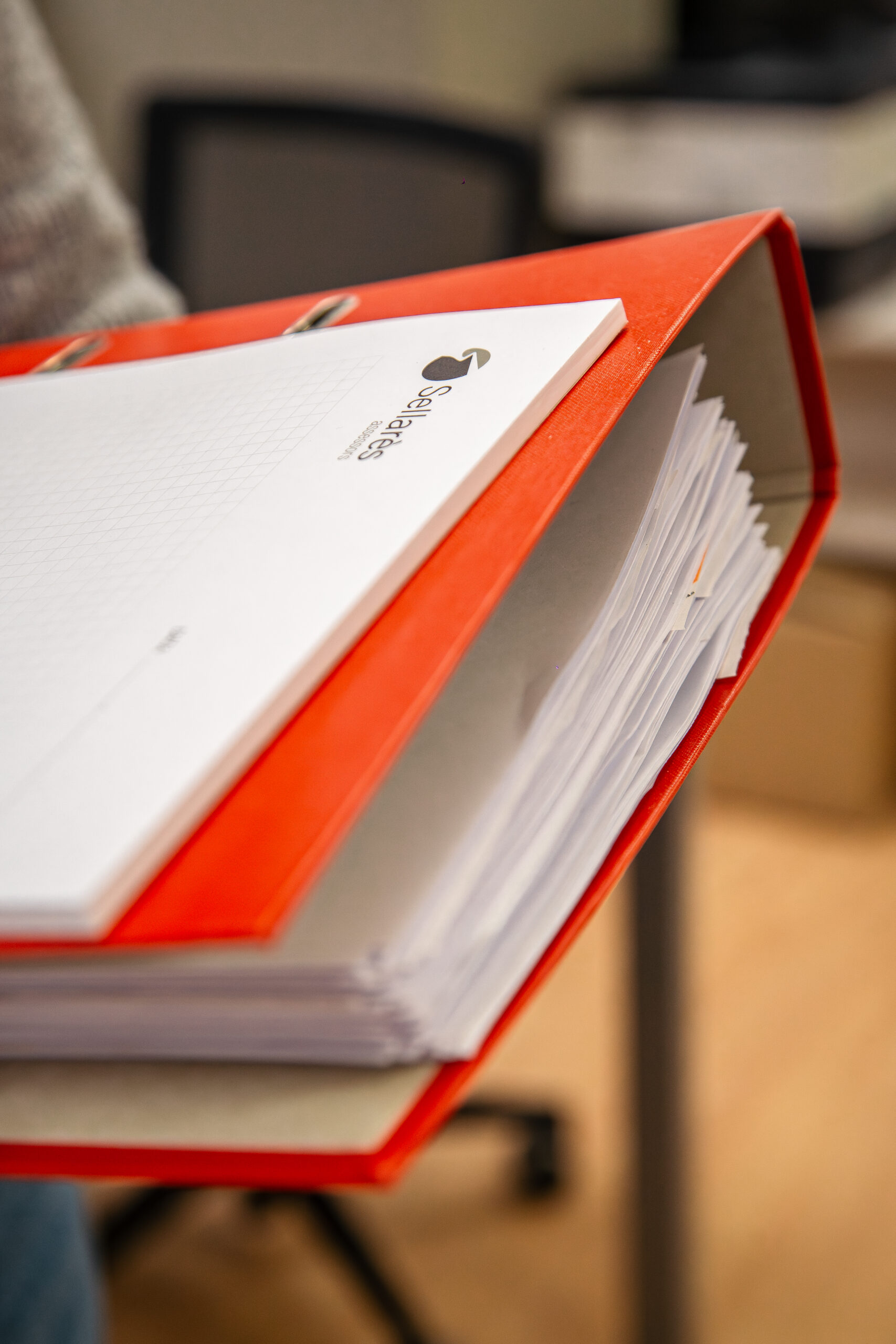 Actualment esteu veient La importància de legalitzar els llibres